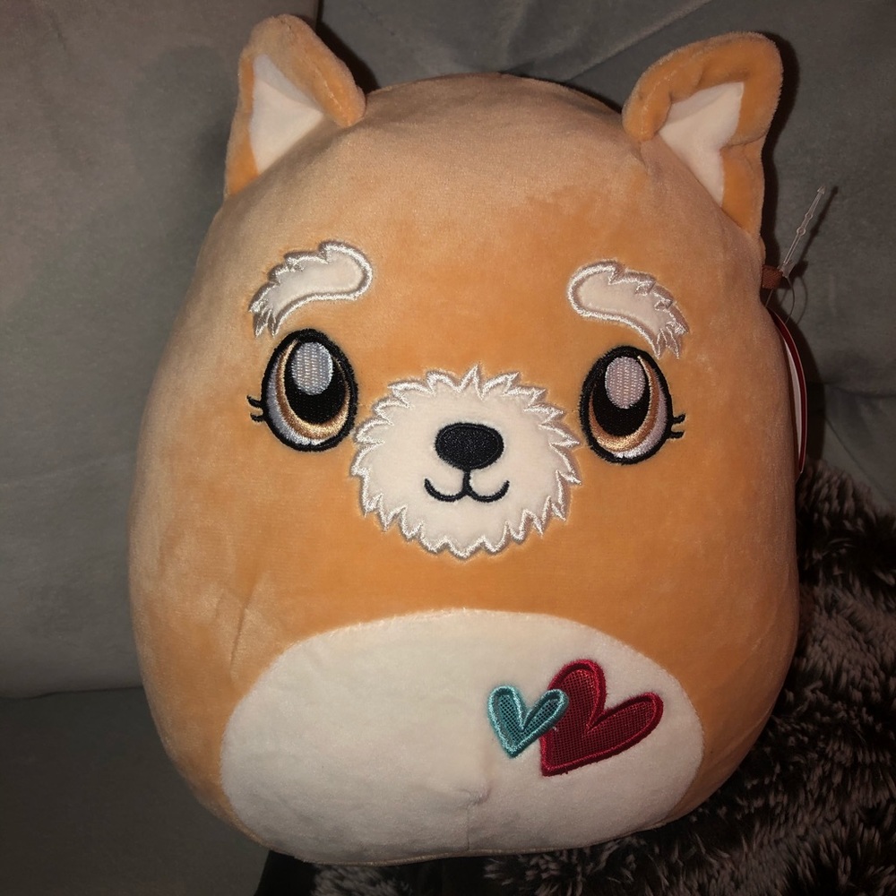 Squishmallows 8” Valentine’s Day Chloeyana the Dog
